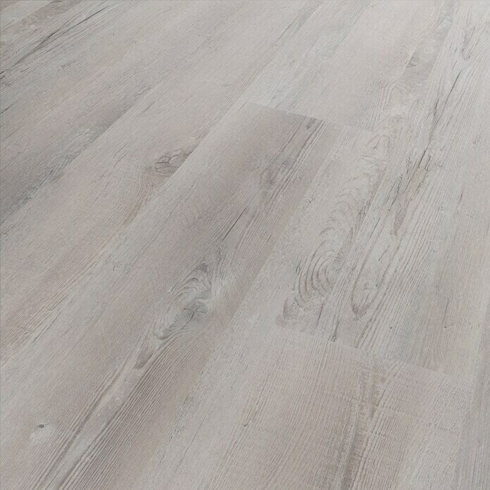 b!design Vinylboden SPC Sunny Pine